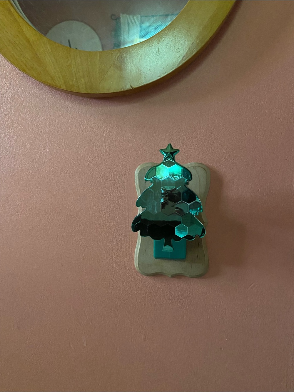 BBW wallflower - Picture 5 of 16